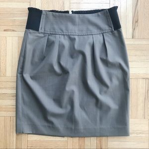 EXPRESS Skirt